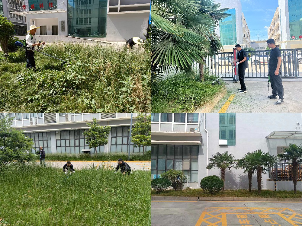 微信图片_20260605164801_247_6.jpg